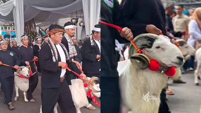 Makna Maskawin Unik Maula Akbar untuk Putri Karlina: Sapi, Domba, hingga Bibit Pohon